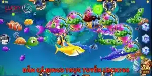 Bắn cá bingo trực tuyến