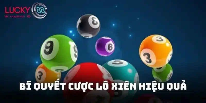 Cược Lô Xiên Hiệu Quả Và Cách Chơi Giúp Thắng Lớn Nhất 2 Những kinh nghiệm giúp bạn tham gia cược lô xiên hiệu quả