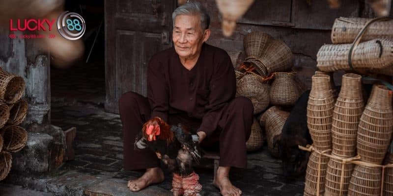 Đá gà S128 – Sân chơi đẳng cấp cho người đam mê
