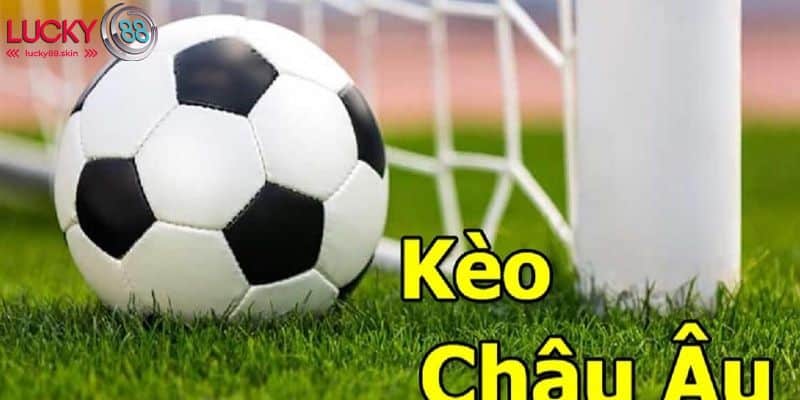 Phân Tích Tỷ Lệ Kèo Chuẩn Xác Giúp Người Chơi Dễ Thắng 2 Tổng hợp tất cả mọi tỷ lệ kèo phổ biến trên thị trường